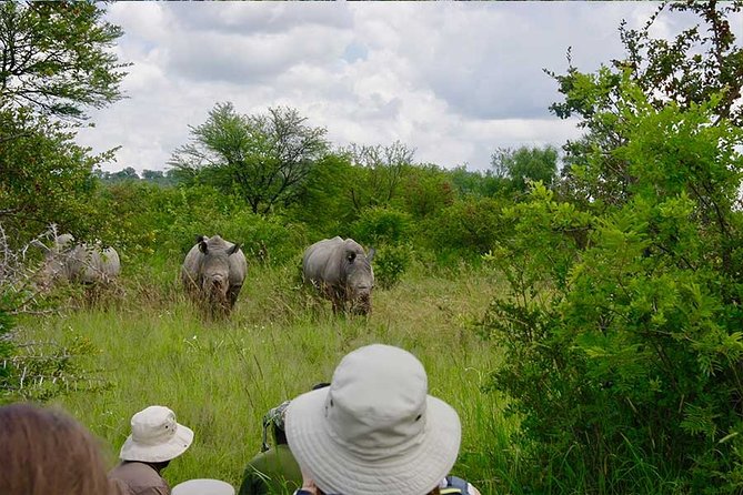 10 Day Zimbabwe and Chobe NP Tour - Key points before you go