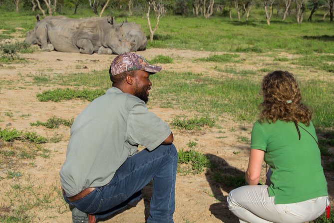 10 Day Zimbabwe and Chobe NP Tour - Chobe day two, early game drive for big cats and nocturnal action