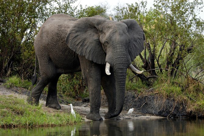 13 Days Best Of Zimbabwe - Day 4 and Day 9: leisure time is not filler
