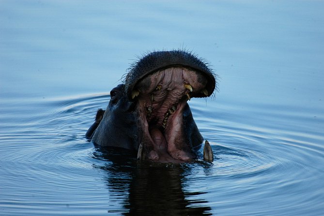 13 Days Best Of Zimbabwe - Victoria Falls and the Zambezi River, right at the start