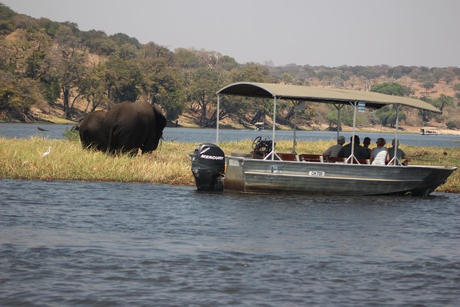 2-Day Camping Safari in Chobe National Park from Victoria Falls - Camp life under canvas: comfort upgrades you will notice