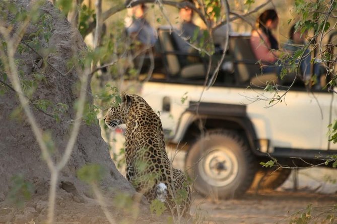 2-Day Camping Safari in Chobe National Park from Victoria Falls - Where the guides make the difference (Jack and Six get props)