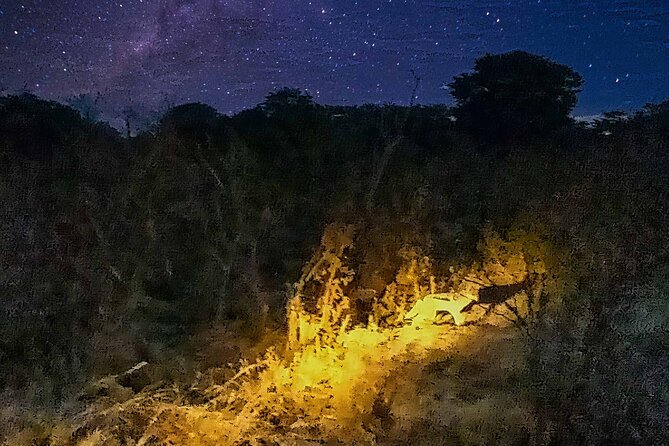 2 Hour Stargazing Tour in Victoria Falls NP Area in 4x4 - The astrophile guide impact: turning random stars into something you can follow