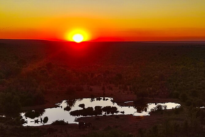 2 Hour Stargazing Tour in Victoria Falls NP Area in 4x4 - Price check: is $99 per person good value?