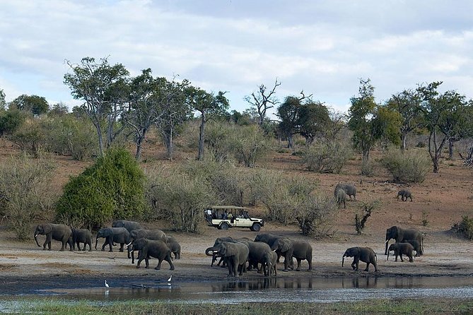 3 Day Chobe National Park Camping Safari - Day 2 in Chobe: Getting Closer and Seeing Different Behavior