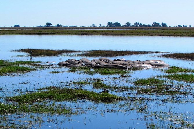3 Day Chobe National Park Camping Safari - Your “Camping” Setup: Safari Lodge Dome Tent With Full Board