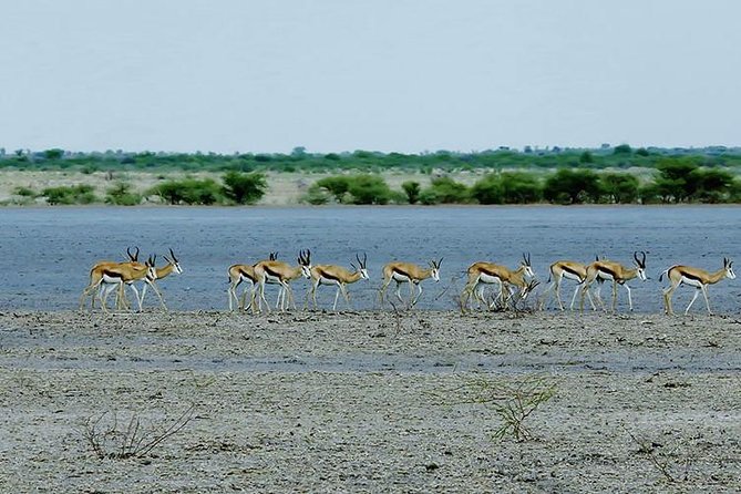 3 Day Chobe National Park Camping Tour - From Victoria Falls to Chobe, What Day 1 Really Means
