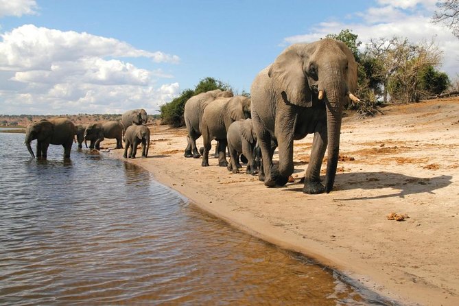 3 Day Chobe National Park Camping Tour - Camping Setup and the Dorm Tent Question You Should Ask First