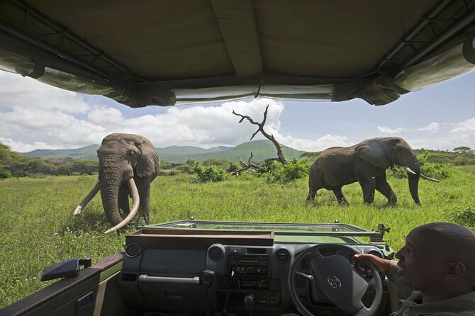 3-Day Victoria Falls Safari with Dinner Cruise - Guides and service: why punctuality matters here