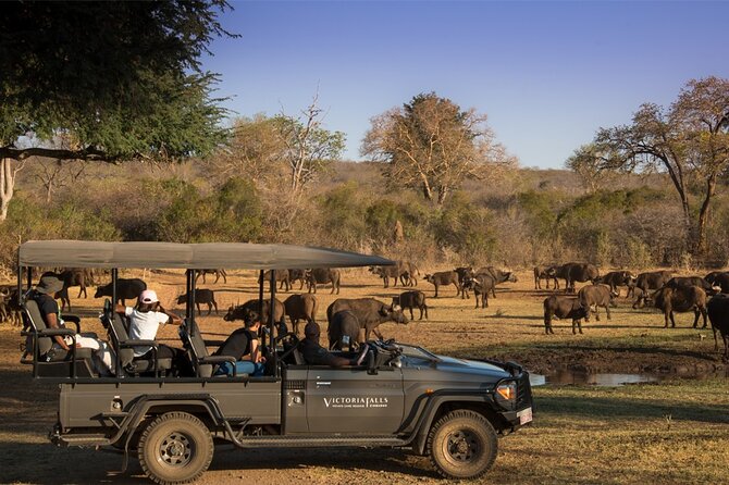 3-Day Victoria Falls Safari with Dinner Cruise - Should you book it?