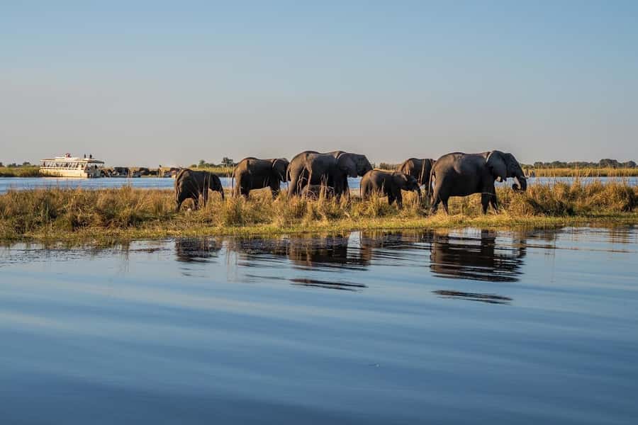 3 Days Explore Zambia, Zimbabwe and Chobe Park in Botswana - Key Highlights You Will Actually Feel