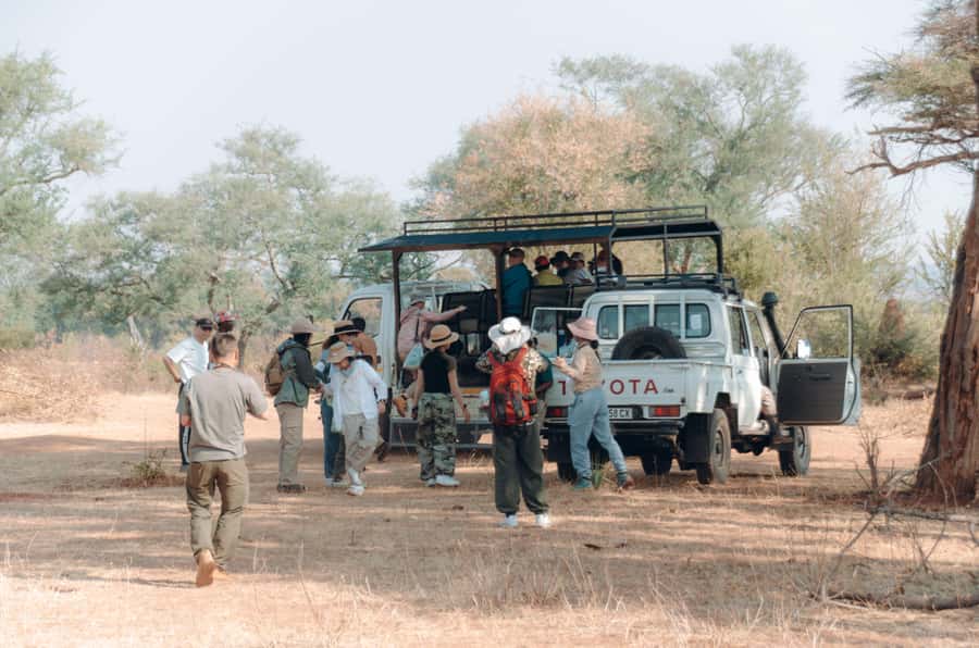 3 Days Explore Zambia, Zimbabwe and Chobe Park in Botswana - Timing, Transport, and How the Pace Feels on the Ground