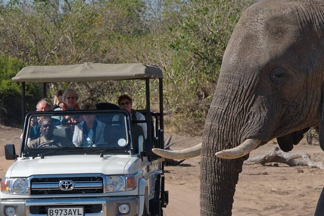 3 Days in Victoria Falls & Chobe National Park Combo - Victoria Falls Bridge: rainbows, border history, and easy photo angles
