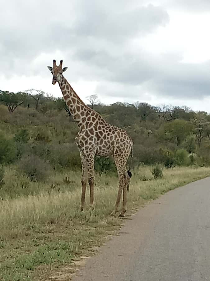 3 Days Victoria Falls and Full day Chobe National Park - Price and value: what you pay, what you should budget