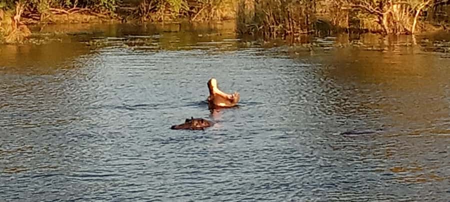3 Days Victoria Falls and Full day Chobe National Park - Health and travel docs: don’t leave these to chance