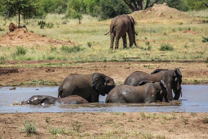 4-Day Discover Victoria Falls, Chobe and Hwange Park - Hwange National Park 4x4 safari day: villages, Colliery, and hides