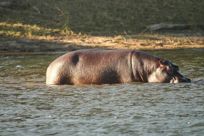 4-Day Discover Victoria Falls, Chobe and Hwange Park - What you pay for, and what to budget for extra