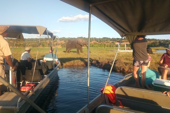 4-Day Discover Victoria Falls, Chobe and Hwange Park - Timing, transport, and the border day to Botswana