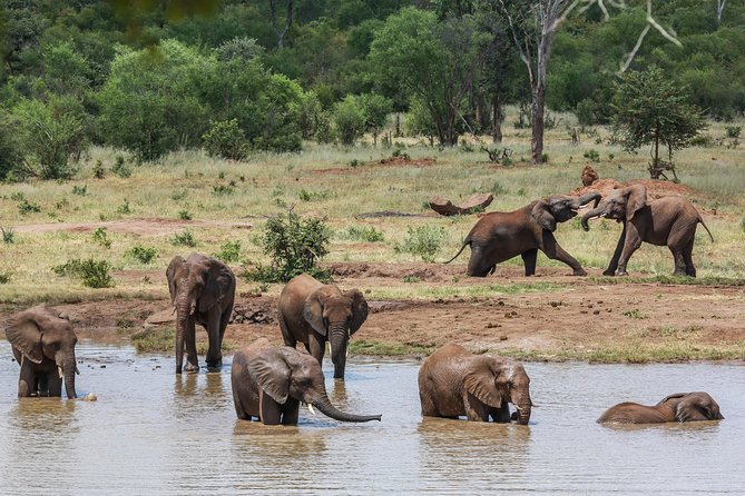 4-Day Discover Victoria Falls, Chobe and Hwange Park - How I’d pack for this kind of 4-day safari loop