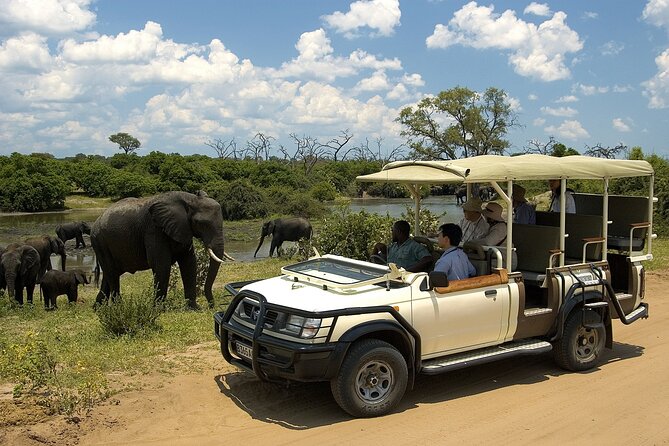 4-Day Discover Victoria Falls, Chobe and Hwange Park - Victoria Falls guided walk: rainforest cliffs and that Zambezi roar