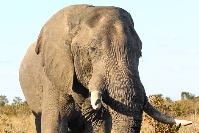 4 Days Victoria Falls Safari Tour & Chobe National Park game drive - Victoria Falls plus Chobe, tightly managed for your time