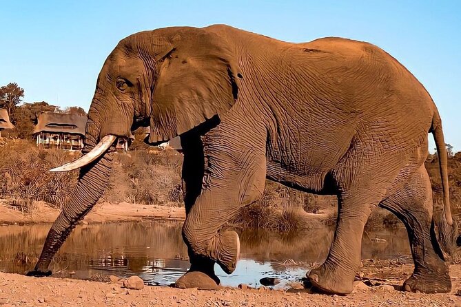 4 Days Victoria Falls Safari Tour & Chobe National Park game drive - Timing and packing tips that will actually help