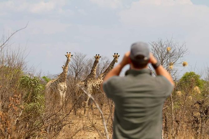 4 Days Victoria Falls Zimbabwe with Chobe National Park Safari Botswana and Livingstone Zambia - Semi All-Inclusive Value: What’s Included, What’s Not