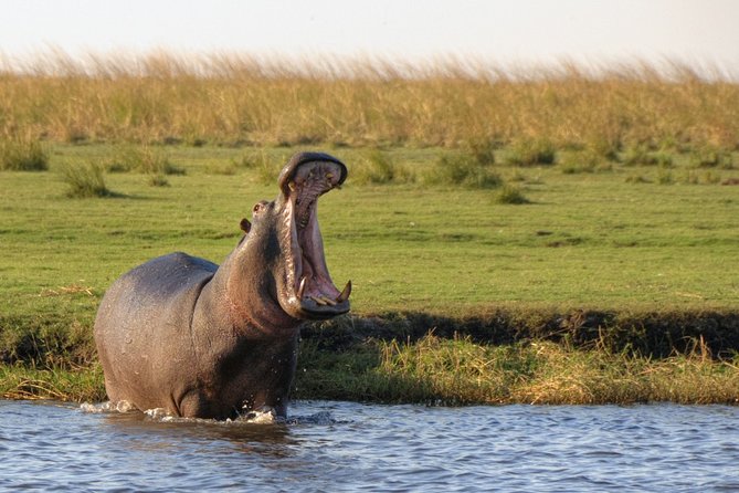 5-DAY Victoria Falls and Chobe National Park - Key Highlights at a Glance
