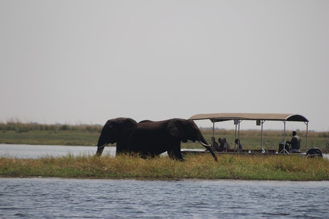 5-DAY Victoria Falls and Chobe National Park - Day 1 at Elephant Hills, Plus a Zambezi Sunset Cruise and Dinner Show