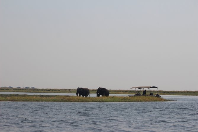 5-DAY Victoria Falls and Chobe National Park - Your Full Chobe National Park Day: Boat Cruise First, 4x4 Safari After