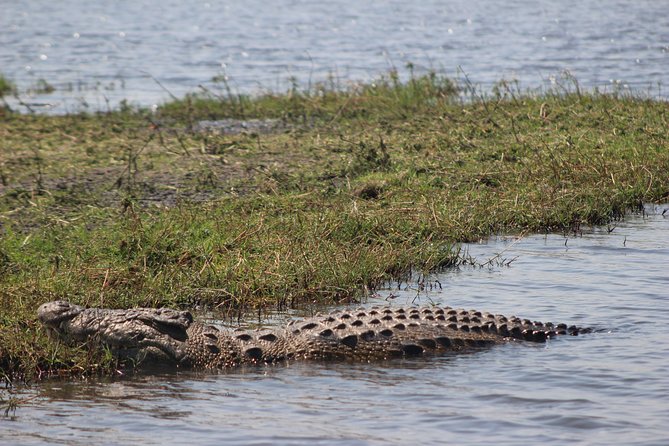 5-DAY Victoria Falls and Chobe National Park - Price and Logistics: What You’re Really Paying For
