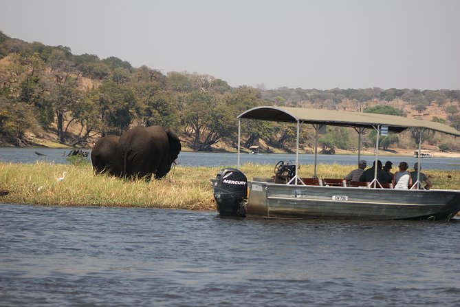 5-DAY Victoria Falls and Chobe National Park - Comfort, Pace, and Who This Tour Fits Best