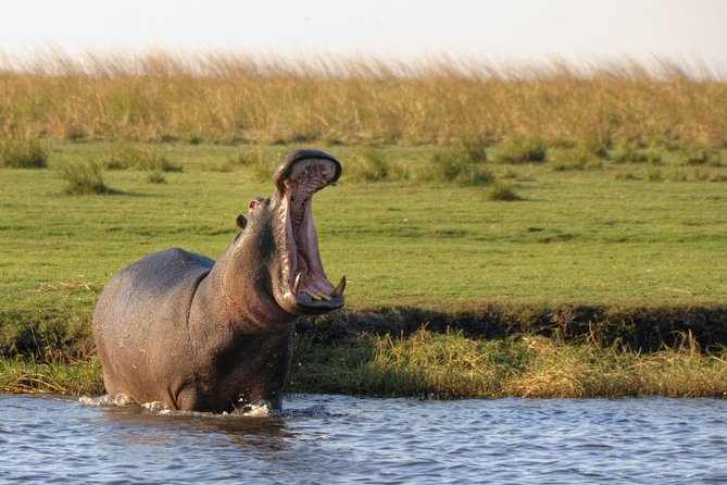 5 Day Victoria Falls and Chobe National Park Luxury Accommodated Tour - Day 1 and Day 2 in Victoria Falls: Rainforest Time and a Sunset Cruise