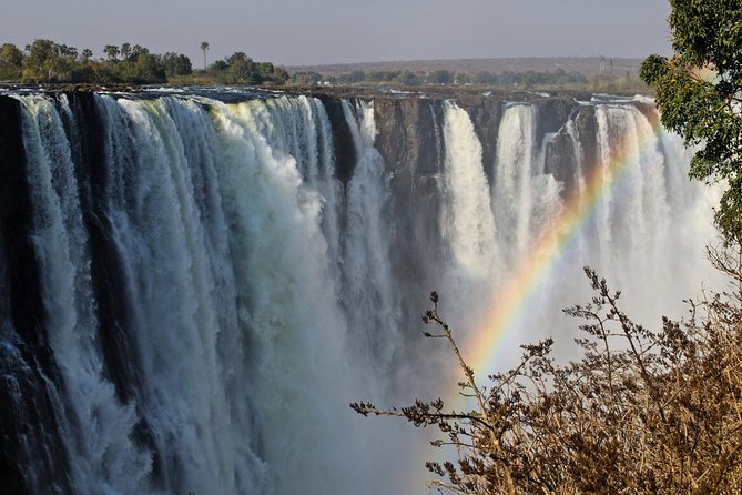 5 Day Victoria Falls and Chobe National Park Luxury Accommodated Tour - Days 3 and 4 in Chobe National Park: Elephant Country With Two Chances