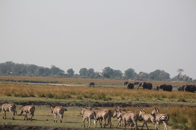 5-DAY Victoria Falls and Chobe National Park - Guided Victoria Falls on Day 2, With Baobab Tree Views and an African Village Tour