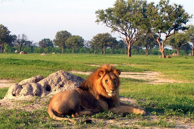 5 Day Victoria Falls and Hwange National Park Accommodated Safari Tour - What you can realistically expect to see: elephants, big cats, and river surprises