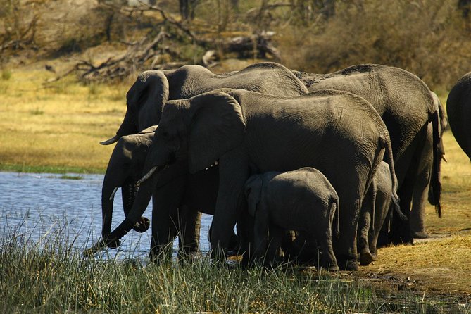 5 Day Victoria Falls and Hwange National Park Accommodated Safari Tour - Weather, pacing, and who this tour suits best