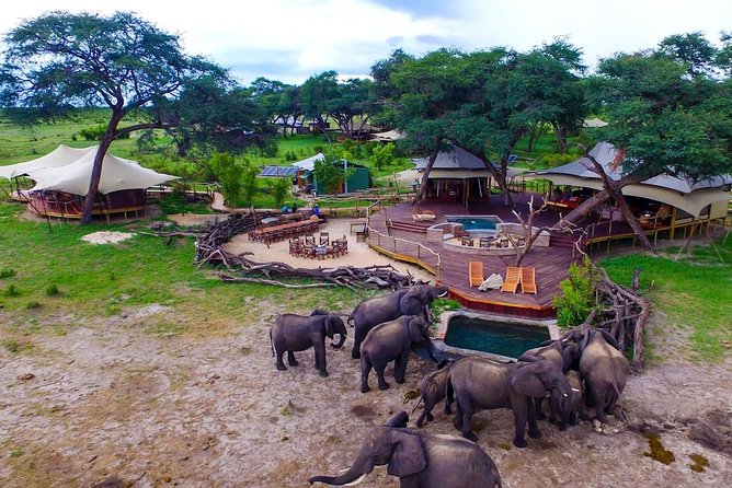 5 Day Victoria Falls and Hwange National Park Accommodated Safari Tour - Prinlin Safari Travels stop: a short transfer-style moment with an admission ticket