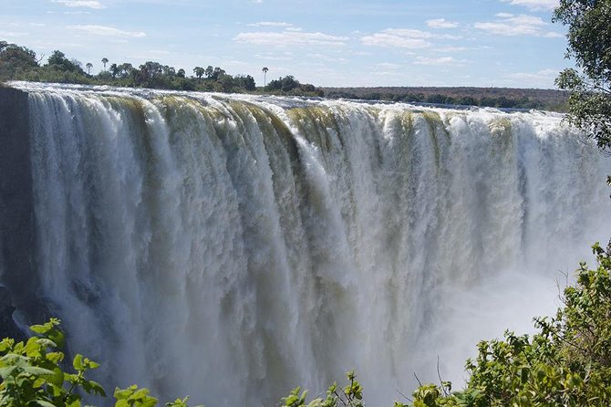 5 Day Victoria Falls and Hwange National Park Accommodated Tour Safari - Day 1 in Victoria Falls: Airport Pickup and a Zambezi Sunset Cruise
