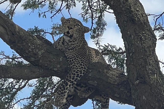 5-Day Visit Zimbabwe, Zambia, Botswana & Namibia Island - Four countries in five days, what you are really signing up for