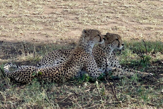 5-Day Visit Zimbabwe, Zambia, Botswana & Namibia Island - Day 1 in Victoria Falls: airport pickup and the Zambezi sunset cruise