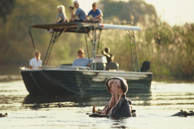 6-day Hwange, Chobe & Victoria Falls Combo - Hwange National Park: a late drive, then two full wildlife days