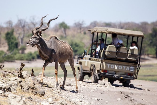 6-day Hwange, Chobe & Victoria Falls Combo - Victoria Falls on foot, plus a Zambezi sunset cruise