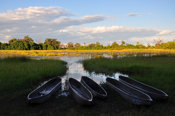 6 Days Victoria Falls Chobe Wildlife and Okavango Delta Tour - Key highlights to know before you go