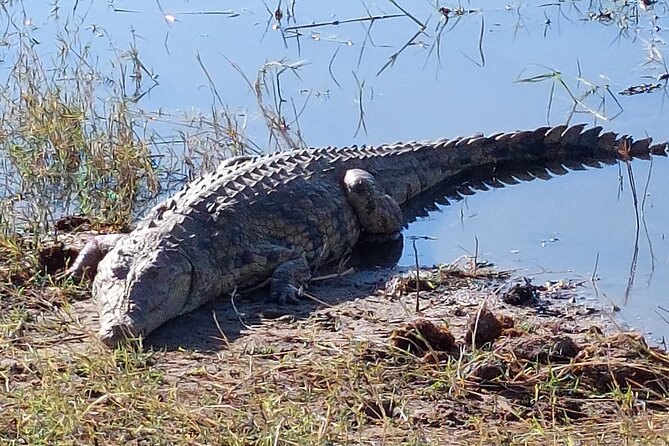 6 Days Victoria Falls Chobe Wildlife and Okavango Delta Tour - Maun stopover and the optional Okavango Delta flight