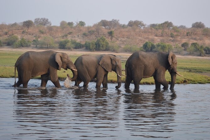 6 Days Victoria Falls Chobe Wildlife and Okavango Delta Tour - Two days, one night in the Okavango Delta: mokoro silence and camp life