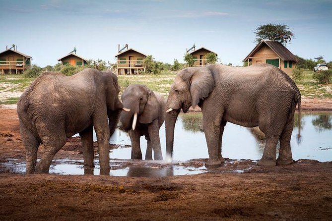 7 Day Highlights Of Botswana Overland Tour – ACCOMODATED (midrange) - Key highlights worth putting on your radar