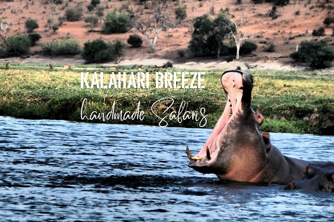 7 Day Highlights Of Botswana Overland Tour – ACCOMODATED (midrange) - Open 4x4 Chobe morning drive, then Elephant Sands waterhole time