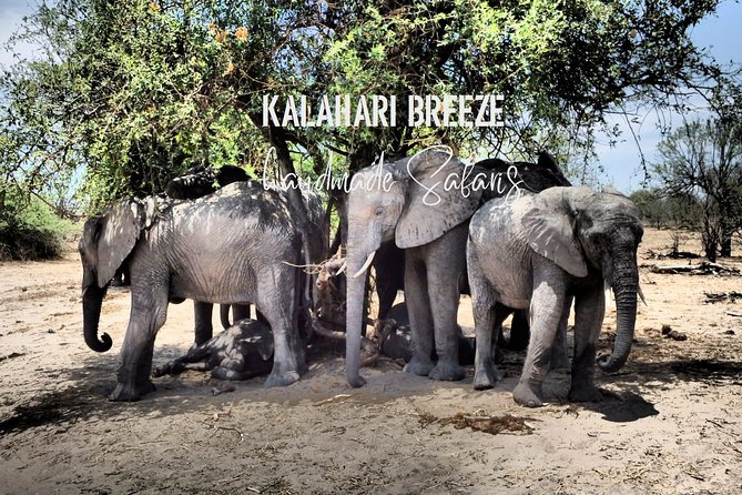 7 Day Highlights Of Botswana Overland Tour – ACCOMODATED (midrange) - Makgadikgadi Salt Pans 4x4, meerkats, and moon-flat emptiness