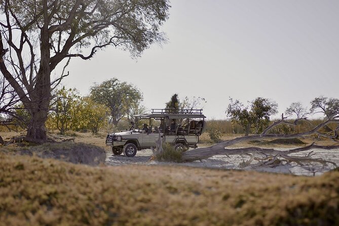 8 Day Chobe NP, Elephant Sands, Okavango Delta & Victoria Falls - Day 1 Victoria Falls to a Zambezi sunset cruise
